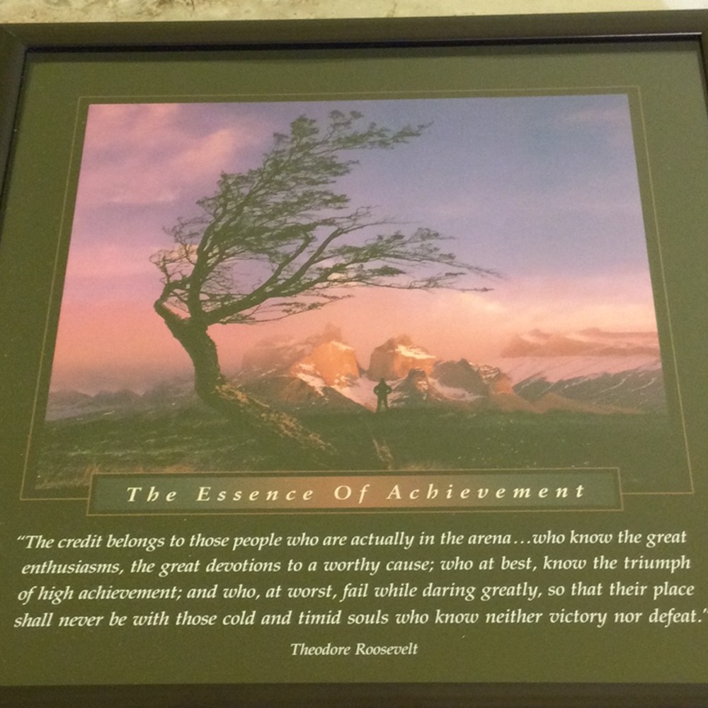 Essence of Achievement framed art